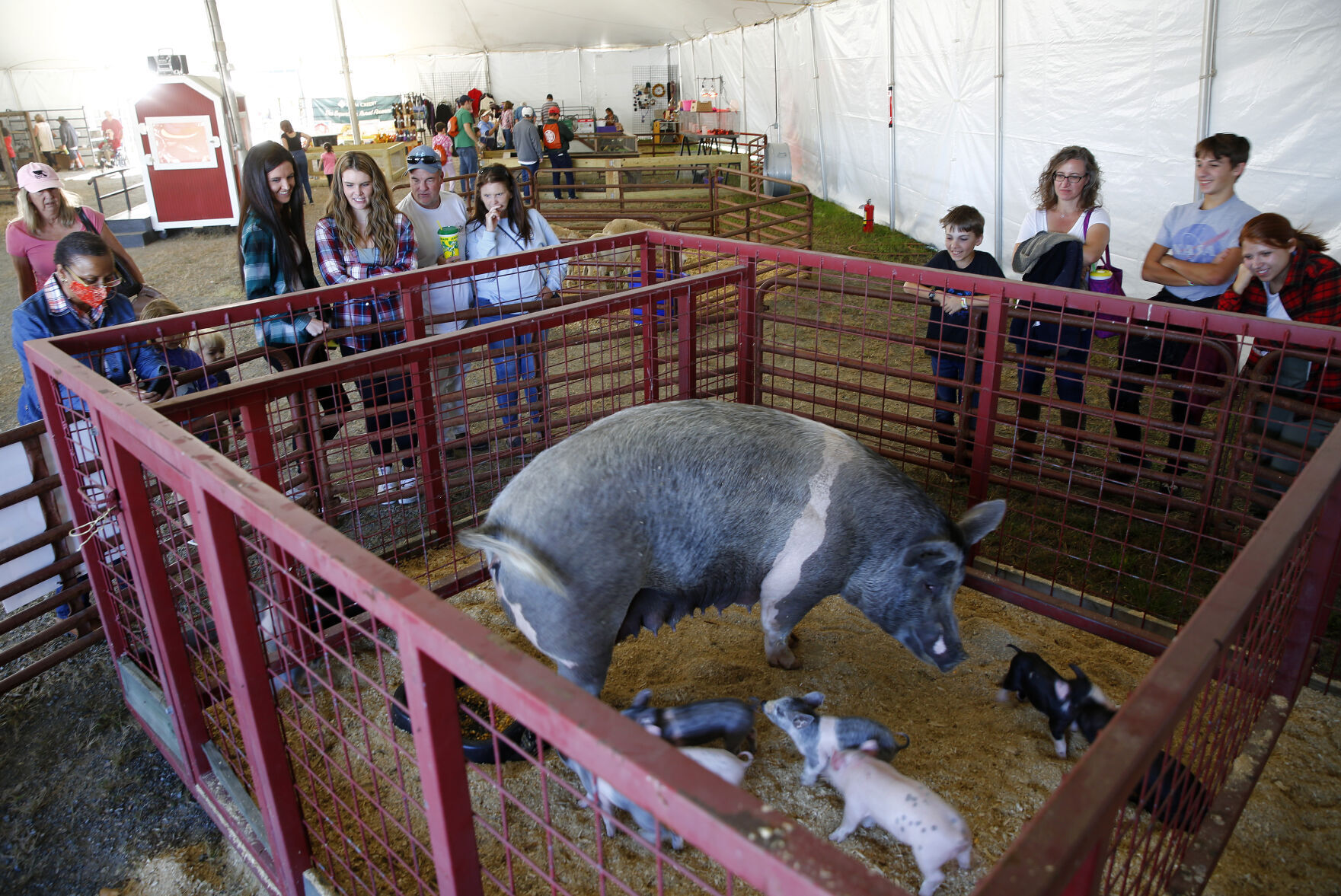 State Fair of Virginia